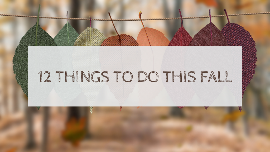Fall Favorites: 12 Things to do this Fall!